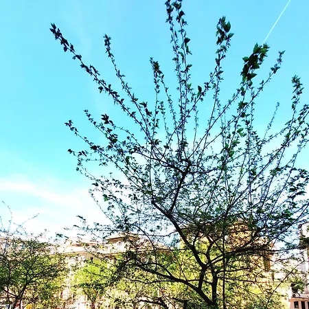 公寓 Vanity - 4 Bedrooms With 4 Bathrooms - Ac & Wifi *